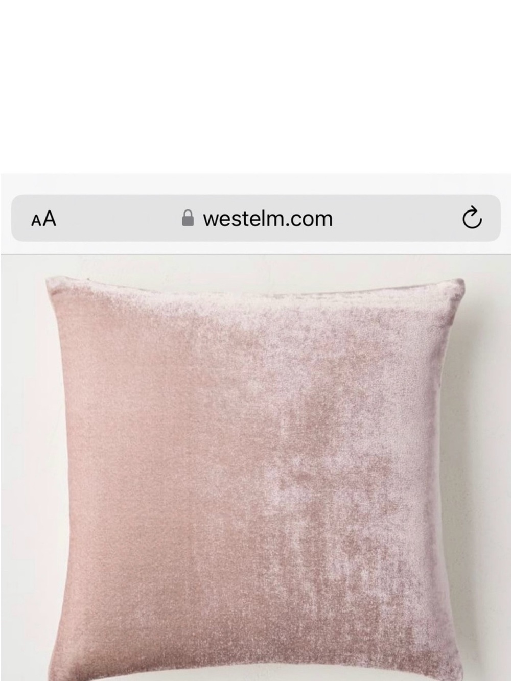 West Elm Velvet Blush Throw Pillow - Set of 2